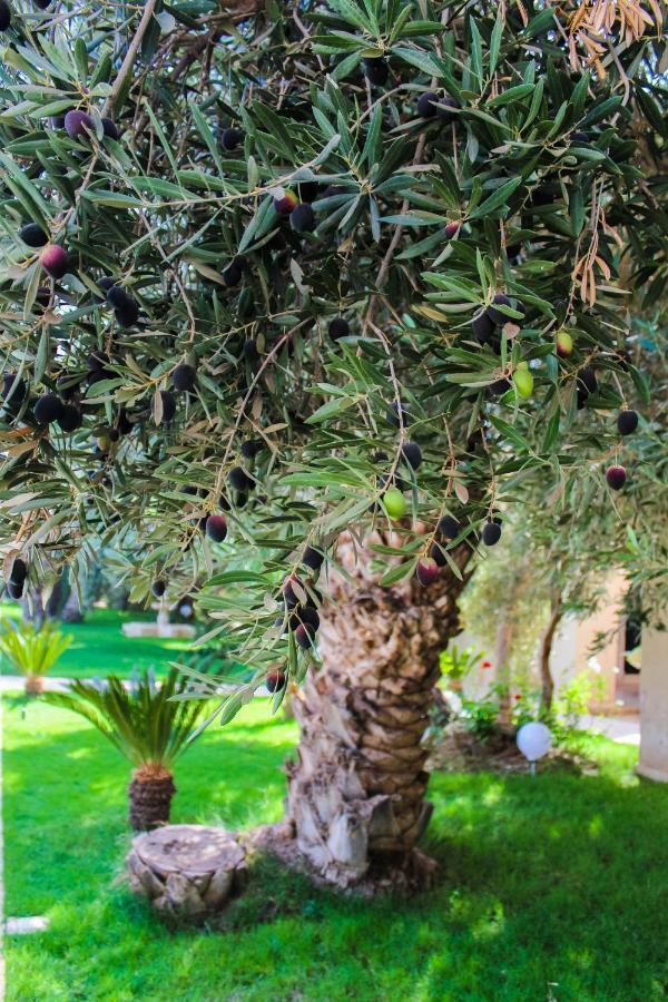 Riad Le Jasmin ทารัวแดนท์ ภายนอก รูปภาพ