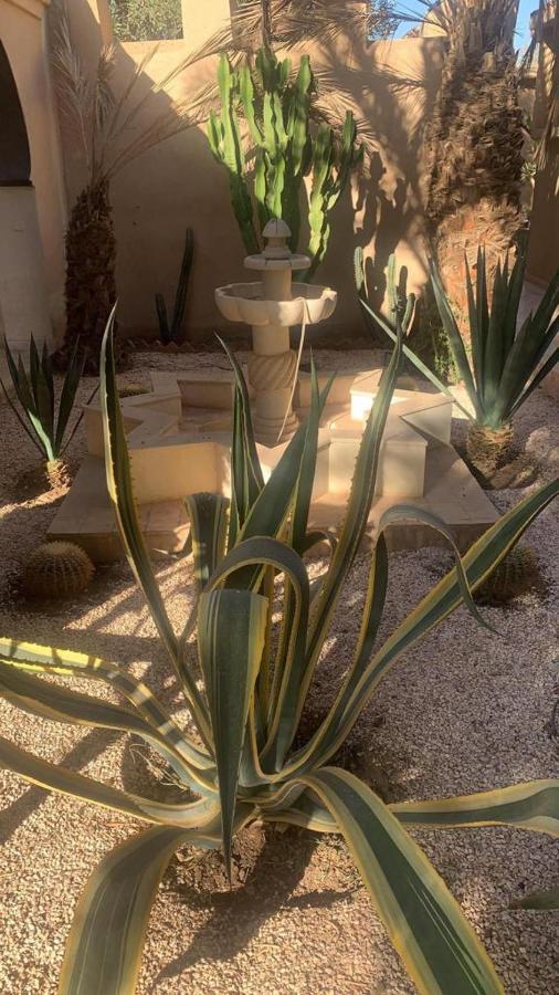 Riad Le Jasmin ทารัวแดนท์ ภายนอก รูปภาพ