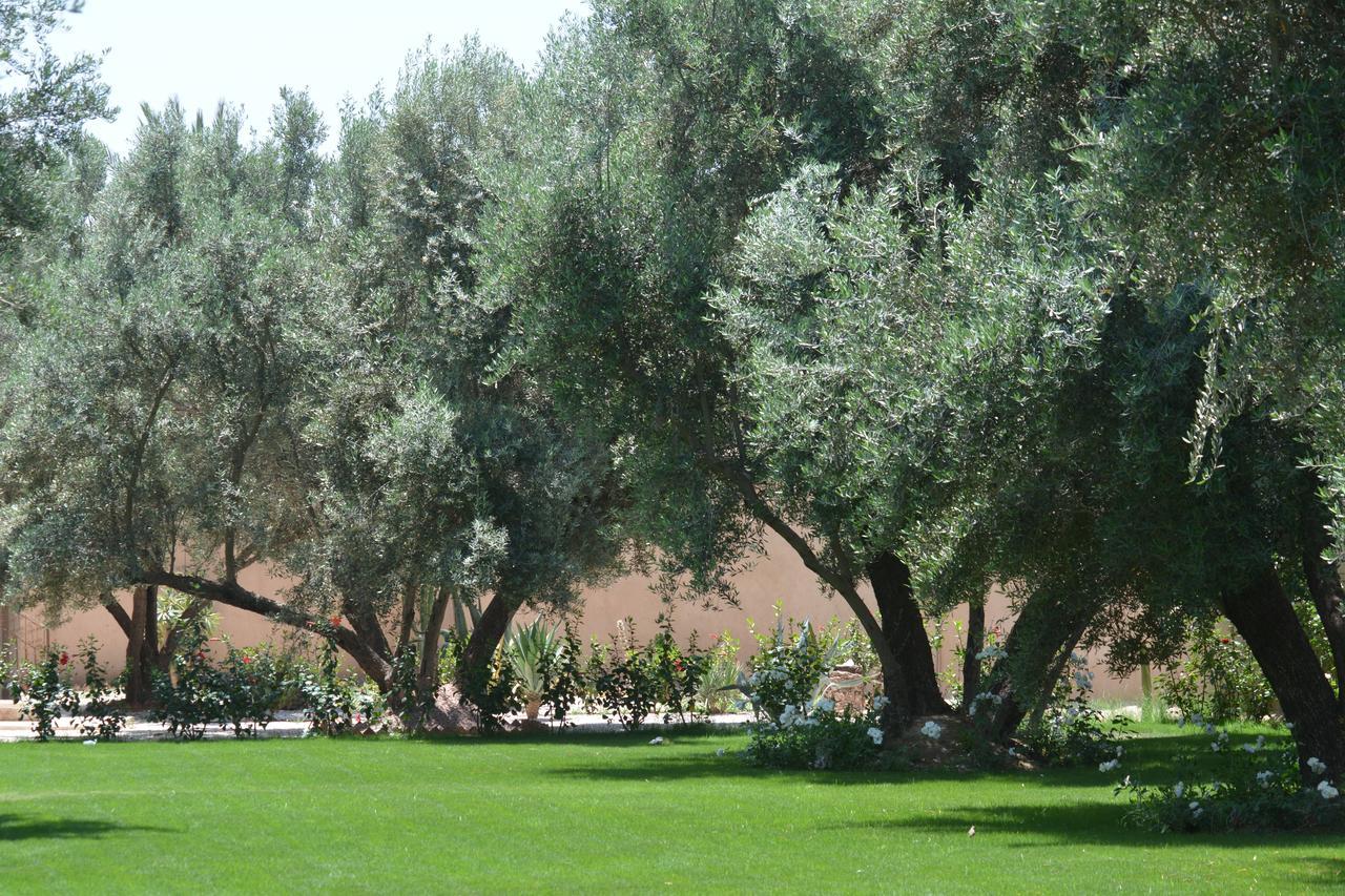 Riad Le Jasmin ทารัวแดนท์ ภายนอก รูปภาพ
