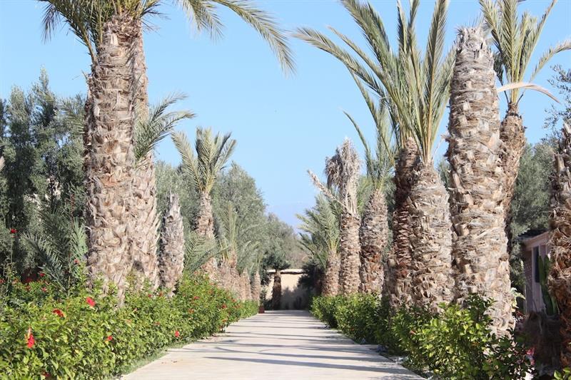 Riad Le Jasmin ทารัวแดนท์ ภายนอก รูปภาพ